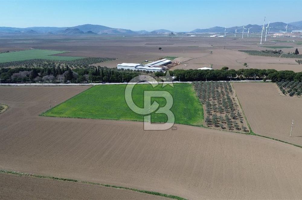 BERGAMA AŞAĞIKIRIKLAR'DA (6643 M²) SATILIK TARLA