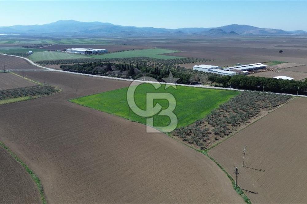 BERGAMA AŞAĞIKIRIKLAR'DA (6643 M²) SATILIK TARLA