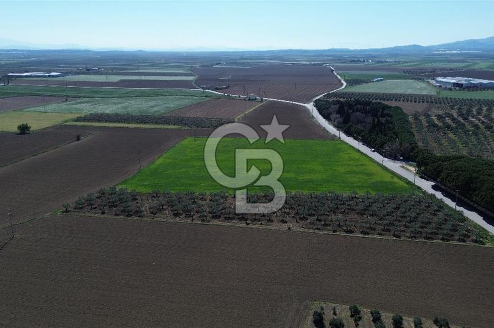 BERGAMA AŞAĞIKIRIKLAR'DA (6643 M²) SATILIK TARLA