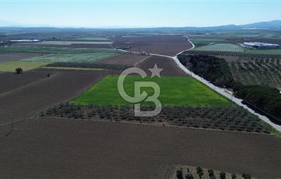 BERGAMA AŞAĞIKIRIKLAR'DA (6643 M²) SATILIK TARLA