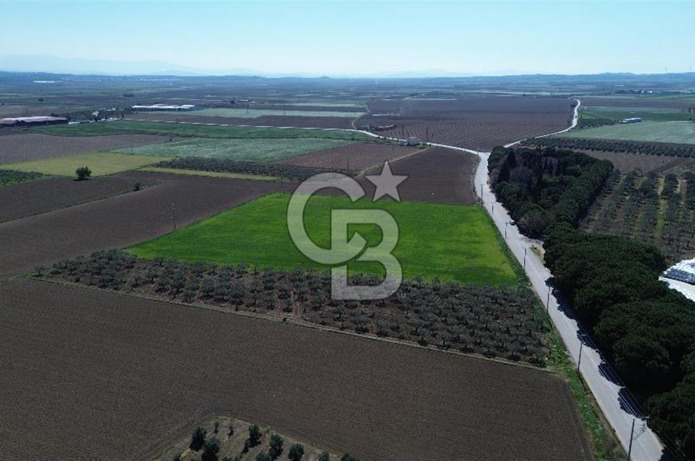 BERGAMA AŞAĞIKIRIKLAR'DA (6643 M²) SATILIK TARLA