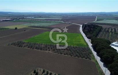 BERGAMA AŞAĞIKIRIKLAR'DA (6643 M²) SATILIK TARLA