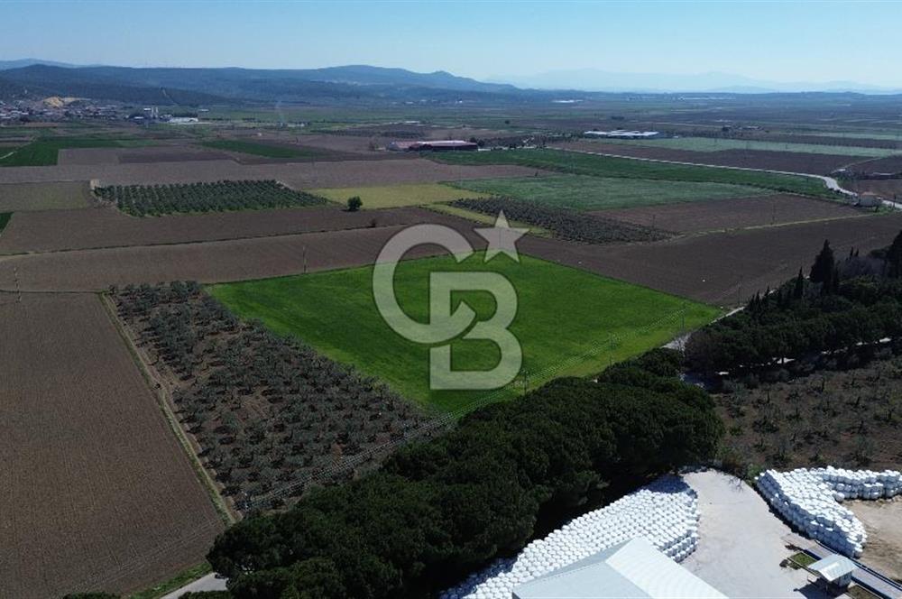 BERGAMA AŞAĞIKIRIKLAR'DA (6643 M²) SATILIK TARLA
