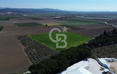 BERGAMA AŞAĞIKIRIKLAR'DA (6643 M²) SATILIK TARLA