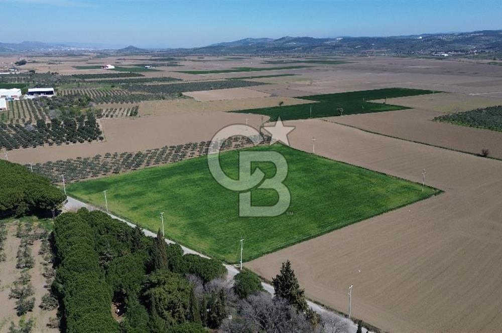 BERGAMA AŞAĞIKIRIKLAR'DA (6643 M²) SATILIK TARLA