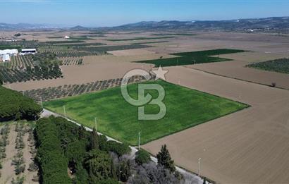 BERGAMA AŞAĞIKIRIKLAR'DA (6643 M²) SATILIK TARLA