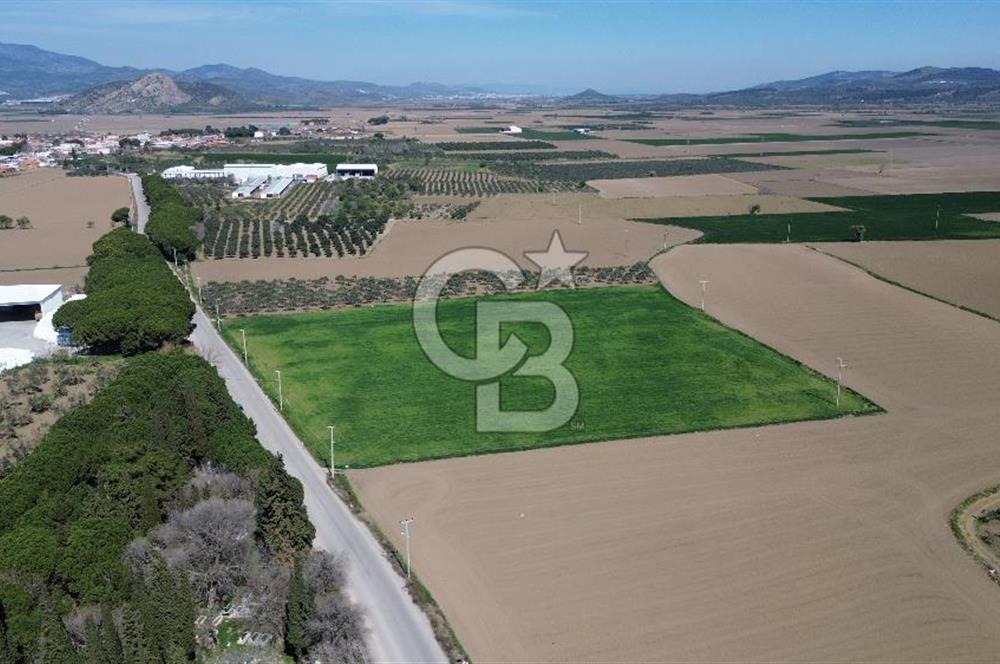 BERGAMA AŞAĞIKIRIKLAR'DA (6643 M²) SATILIK TARLA