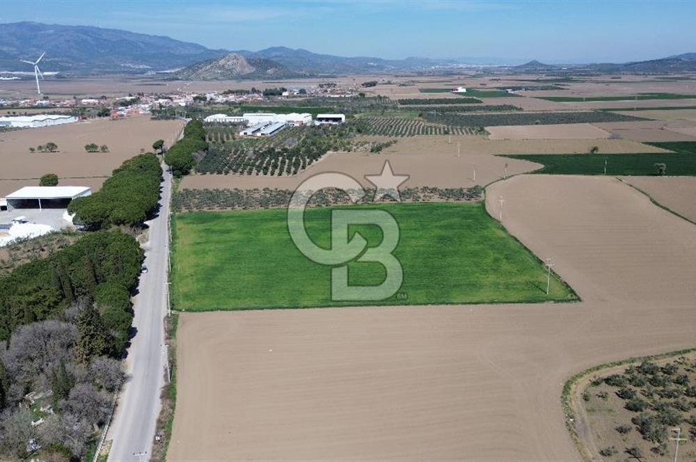 BERGAMA AŞAĞIKIRIKLAR'DA (6643 M²) SATILIK TARLA