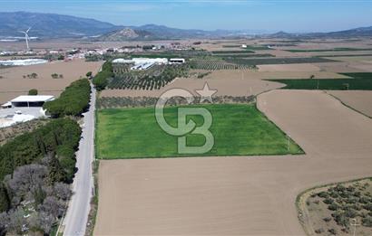 BERGAMA AŞAĞIKIRIKLAR'DA (6643 M²) SATILIK TARLA