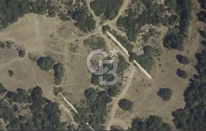 TEKİRDAĞ ,  ŞARKÖY, MURSALLI'DA TEK TAPULU 2311 M2 TARLA