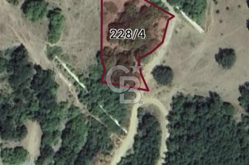 TEKİRDAĞ ,  ŞARKÖY, MURSALLI'DA TEK TAPULU 2311 M2 TARLA