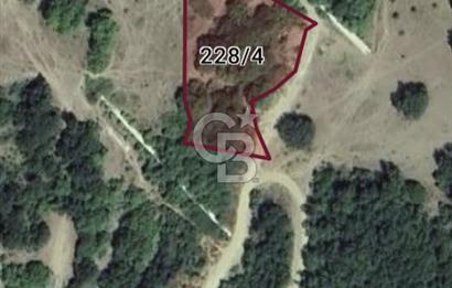 TEKİRDAĞ ,  ŞARKÖY, MURSALLI'DA TEK TAPULU 2311 M2 TARLA