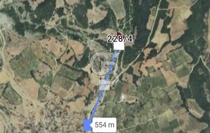 TEKİRDAĞ ,  ŞARKÖY, MURSALLI'DA TEK TAPULU 2311 M2 TARLA