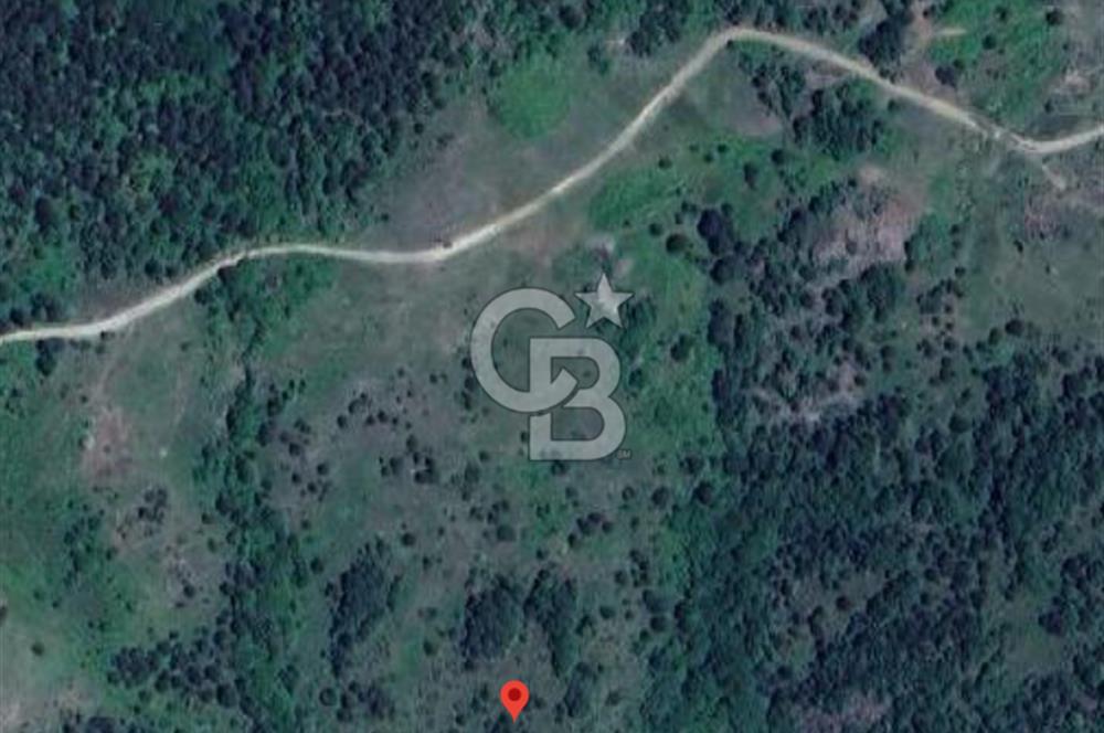 SAKARYA GEYVE 12 DÖNÜM SATILIK, MÜSTAKİL ARSA