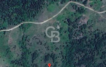 SAKARYA GEYVE 12 DÖNÜM SATILIK, MÜSTAKİL ARSA