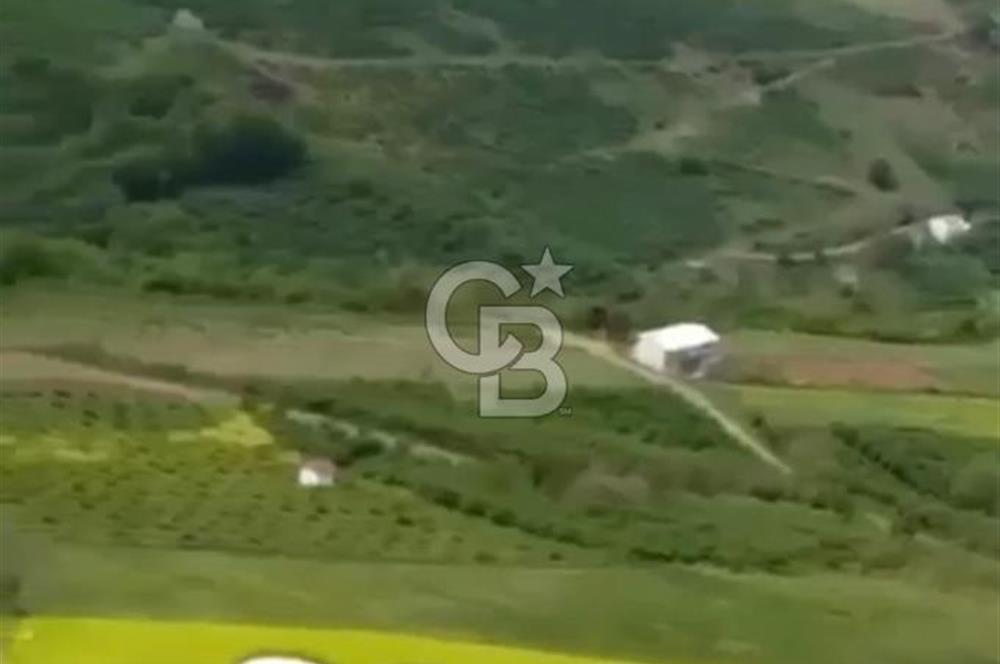 TAFLANDA DENİZ VE DOĞA MANZARALI SATILIK TARLA