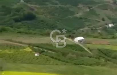 TAFLANDA DENİZ VE DOĞA MANZARALI SATILIK TARLA