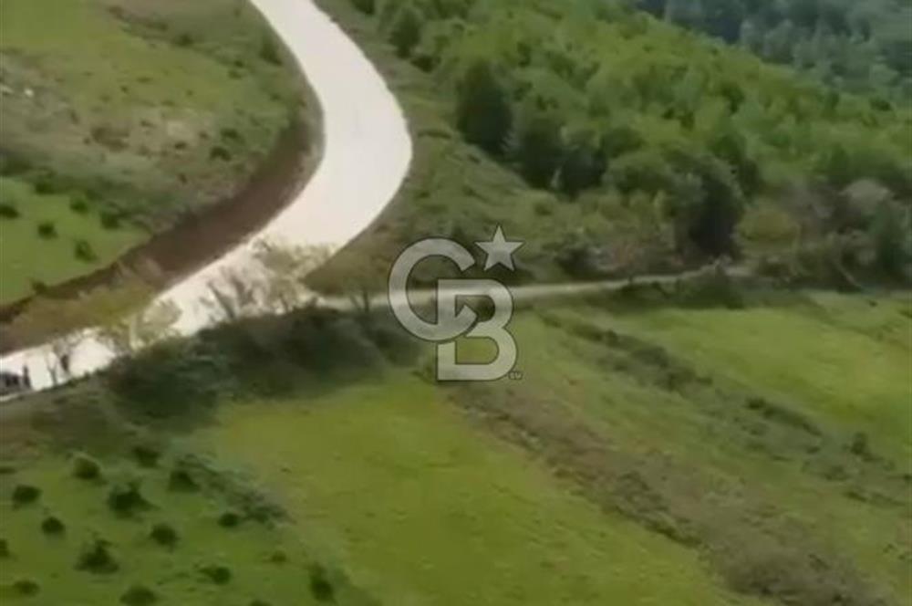 TAFLANDA DENİZ VE DOĞA MANZARALI SATILIK TARLA