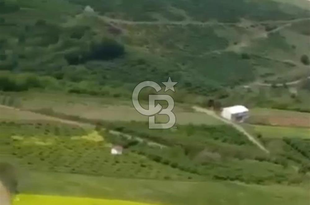TAFLANDA DENİZ VE DOĞA MANZARALI SATILIK TARLA