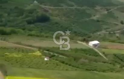 TAFLANDA DENİZ VE DOĞA MANZARALI SATILIK TARLA