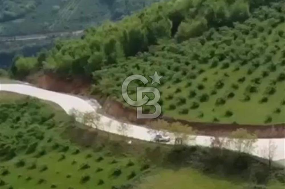 TAFLANDA DENİZ VE DOĞA MANZARALI SATILIK TARLA