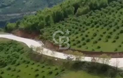 TAFLANDA DENİZ VE DOĞA MANZARALI SATILIK TARLA