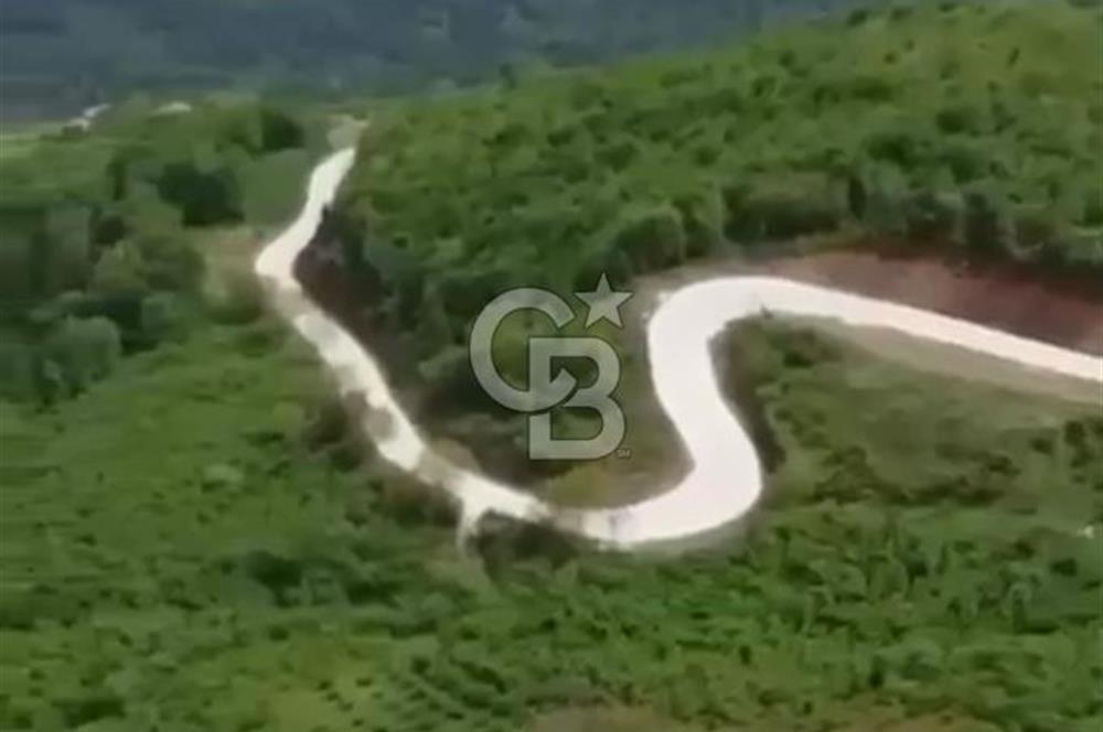 TAFLANDA DENİZ VE DOĞA MANZARALI SATILIK TARLA