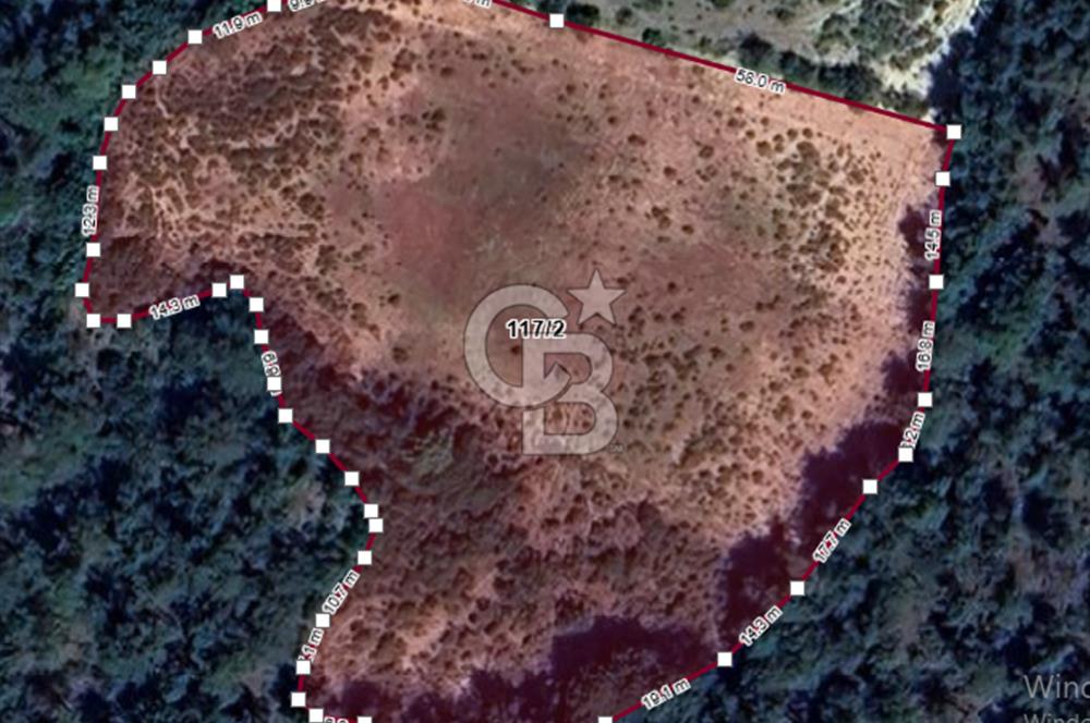 BİLECİK OSMANELİ ÇİFTLİKTE 8.700 DÖNÜM MÜSTAKİL ARSA