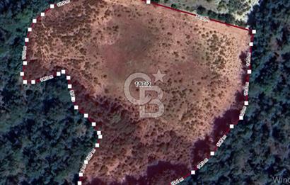 BİLECİK OSMANELİ ÇİFTLİKTE 8.700 DÖNÜM MÜSTAKİL ARSA