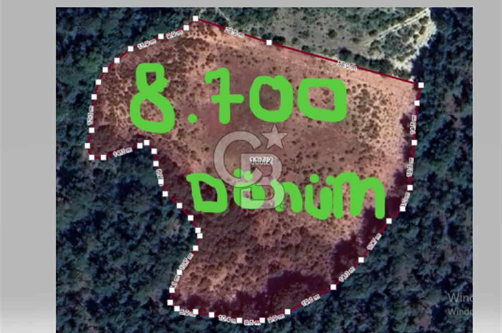 BİLECİK OSMANELİ ÇİFTLİKTE 8.700 DÖNÜM MÜSTAKİL ARSA