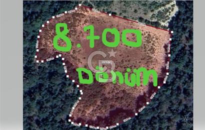 BİLECİK OSMANELİ ÇİFTLİKTE 8.700 DÖNÜM MÜSTAKİL ARSA