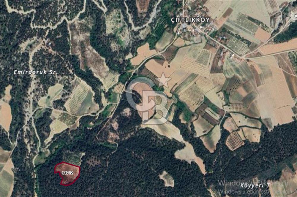 BİLECİK OSMANELİ ÇİFTLİKTE 8.700 DÖNÜM MÜSTAKİL ARSA