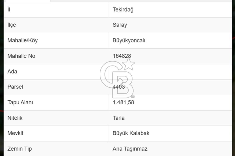 TEKİRDAĞ SARAY BÜYÜKYONCALI' DA DOĞANIN KALBİNDE FIRSAT TARLA!
