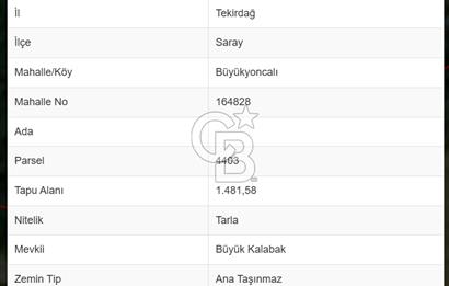 TEKİRDAĞ SARAY BÜYÜKYONCALI' DA DOĞANIN KALBİNDE FIRSAT TARLA!