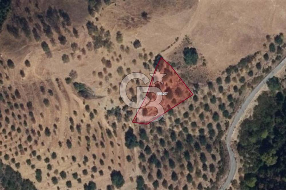 CB NETA ÖMER ÜNSAL'DAN 1977 m²  YOLA CEPHE ARSA