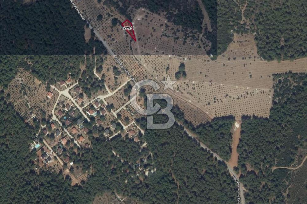 URLA ZEYTİNLER MAHALLESİ YEŞİL ÇİZGİ SİTESİ KARŞISI SATILIK FIRSAT ARSA