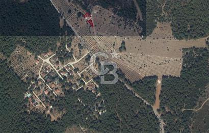 URLA ZEYTİNLER MAHALLESİ YEŞİL ÇİZGİ SİTESİ KARŞISI SATILIK FIRSAT ARSA