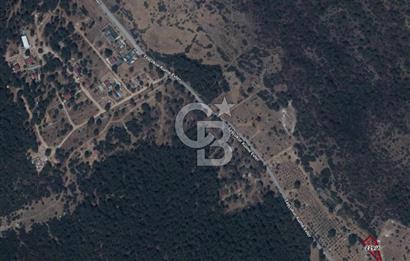 URLA ZEYTİNLER MAHALLESİ YEŞİL ÇİZGİ SİTESİ KARŞISI SATILIK FIRSAT ARSA