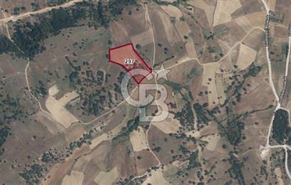 BÜYÜKORHAN PERÇİN KÖY BARAJ SUYU VANALI 15.927 m²  YATIRIMLIK