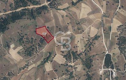 BÜYÜKORHAN PERÇİN KÖY BARAJ SUYU VANALI 15.927 m²  YATIRIMLIK