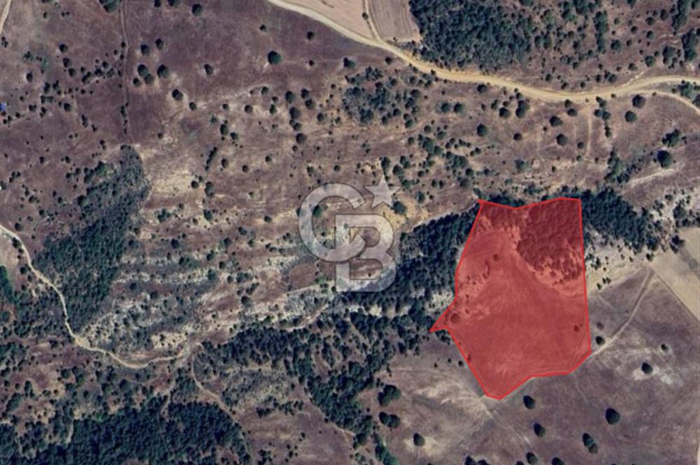 YATIRIMLIK DOĞA HARİKASI ARAZİ 27.940 m² BURSA / BÜYÜKORHAN