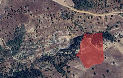 YATIRIMLIK DOĞA HARİKASI ARAZİ 27.940 m² BURSA / BÜYÜKORHAN