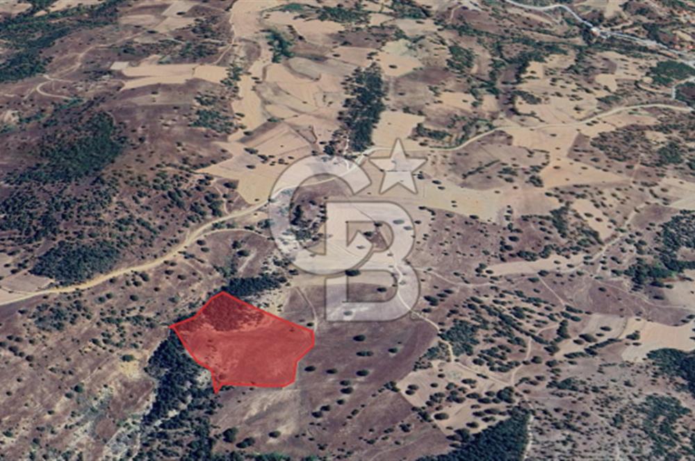 YATIRIMLIK DOĞA HARİKASI ARAZİ 27.940 m² BURSA / BÜYÜKORHAN
