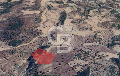 YATIRIMLIK DOĞA HARİKASI ARAZİ 27.940 m² BURSA / BÜYÜKORHAN