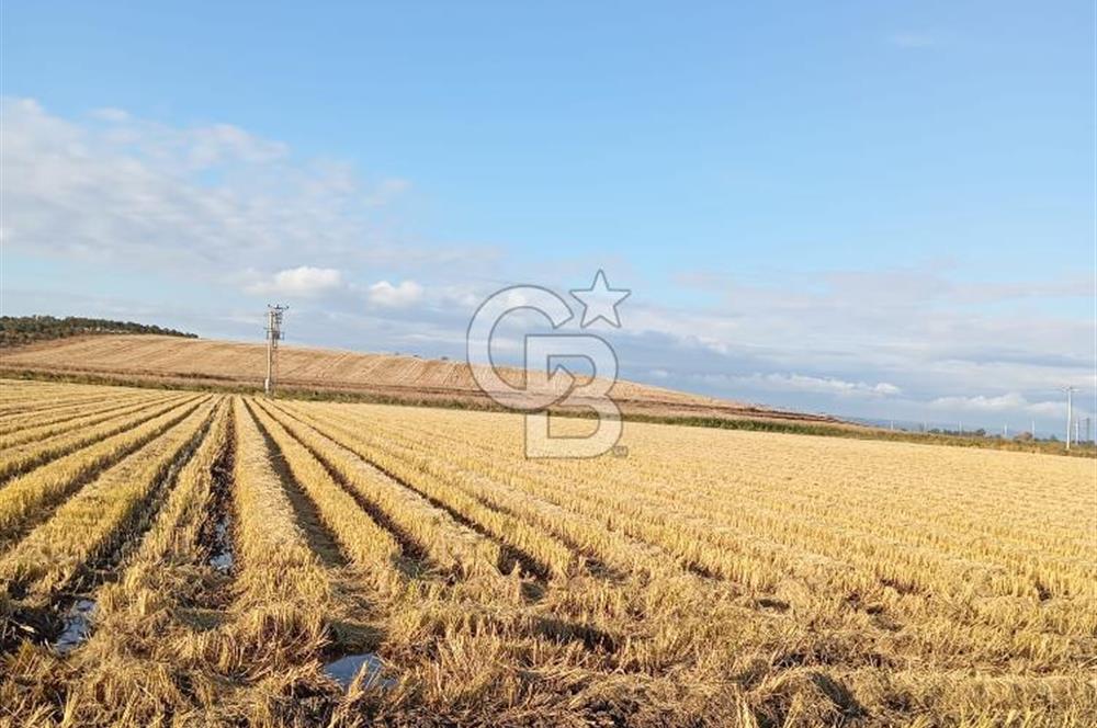 Çanakkale kumkale de satılık tarla