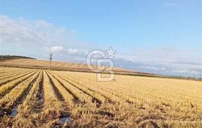 Çanakkale kumkale de satılık tarla