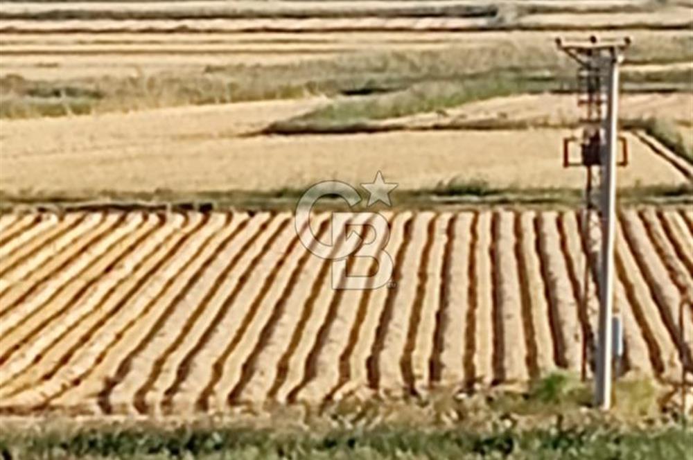 Çanakkale kumkale de satılık tarla