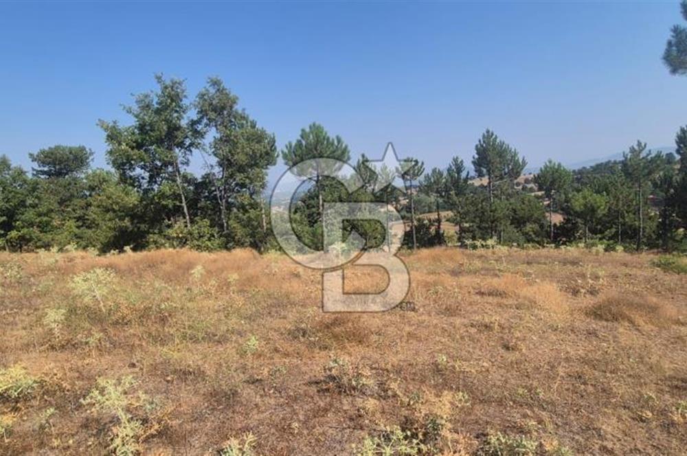 BÜYÜKORHAN PERÇİN KÖY BARAJ SUYU VANALI 15.927 m²  YATIRIMLIK