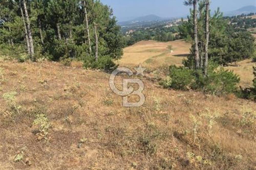 BÜYÜKORHAN PERÇİN KÖY BARAJ SUYU VANALI 15.927 m²  YATIRIMLIK