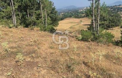 BÜYÜKORHAN PERÇİN KÖY BARAJ SUYU VANALI 15.927 m²  YATIRIMLIK